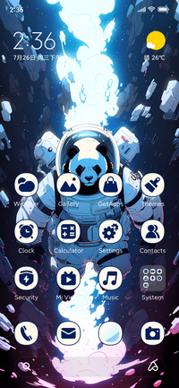 Panda astronaut