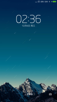 白天鹅