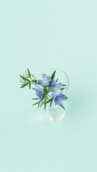 花朵静物 (1)