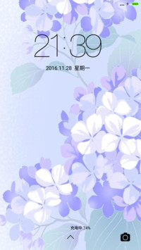紫色花开