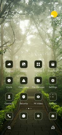 Foggy Forest