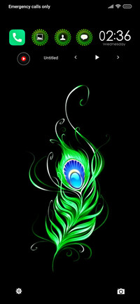 Shri Krishna Oz