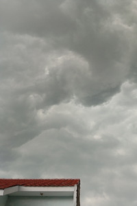 Shelter and Storm.jpg