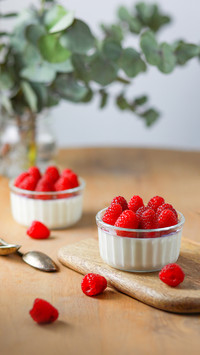 Italian dessert panna cotta with raspberries