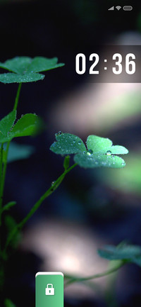 Clover