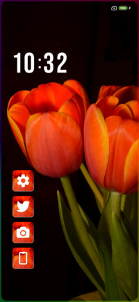 Tulips
