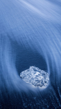 不随波逐流