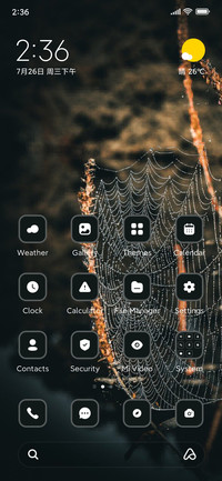 Spider Web