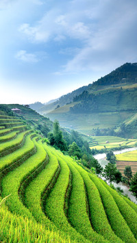 Beautiful Terraced Rice Paddy Field and Mountain Landscape