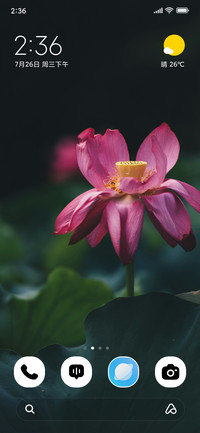 Radiant Lotus