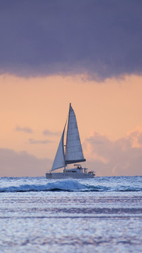 The magnificent sea of mauritius