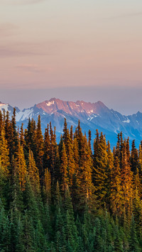 Olympic national park