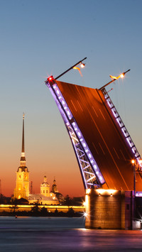Bridge (5)