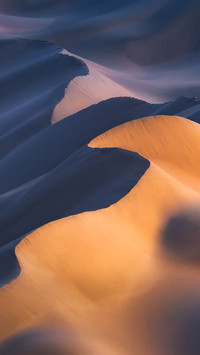 The desert is not alone
