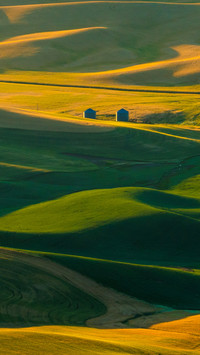 Beautiful hills and light shadows in Palouse area