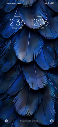 Blue feather