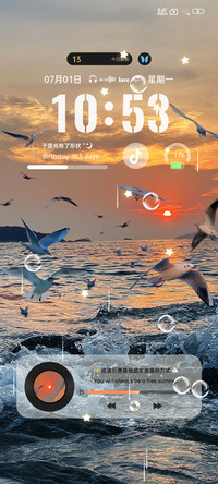 海鸥追逐日落