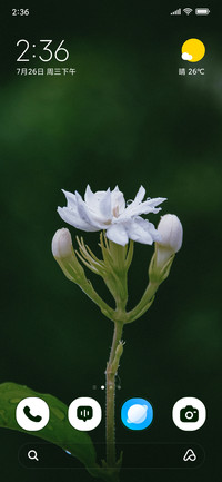 Pearl Blossom