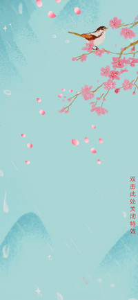 花鸟缘