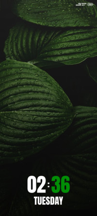 Rain Drop Leaf
