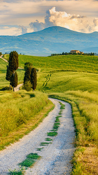 Farmhouse landscape