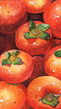 Watercolor Illustration Persimmons Covered Series