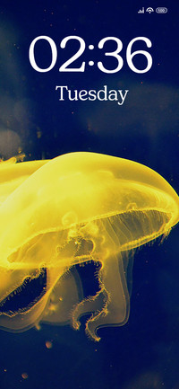 Yellow Fish