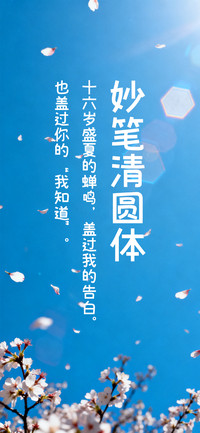 妙笔清圆体
