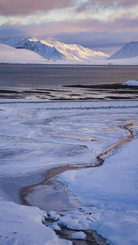 Iceland winter snowfield scenery