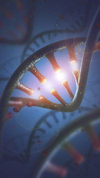 DNA Molecules Structure