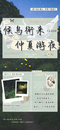 候鸟衔来仲夏游夜