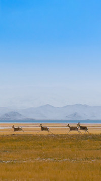 Top 5 Places to Visit in China 8