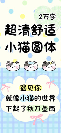 超清舒适小猫圆体