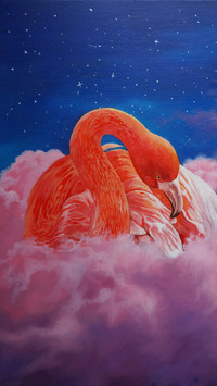 星空下 马与火烈鸟