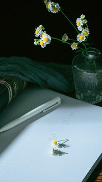 Antique Flowers and Pens on the Wood Grain Table