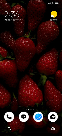 Berry Bloom