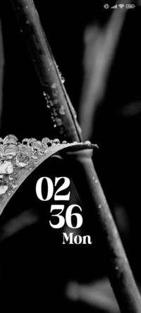 Grayscale Drops