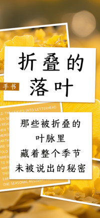 折叠的落叶
