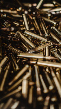 Guns (8)