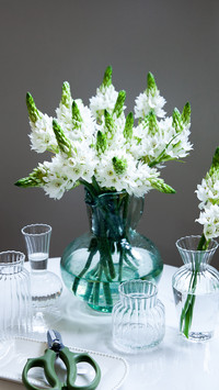 家居插花的专属位置