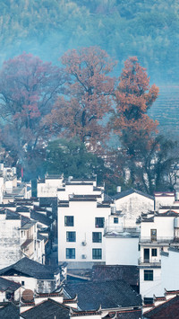 Four major autumn attractions in China 59