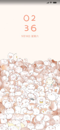 布偶猫