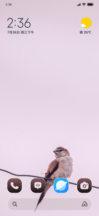 Bird Perched
