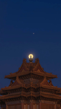 这是我为你收集的月光
