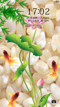 鱼戏莲池
