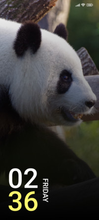 Bamboo King