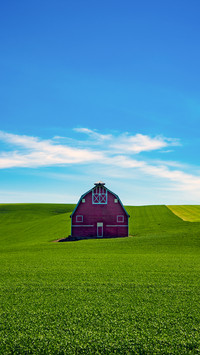 Green fields