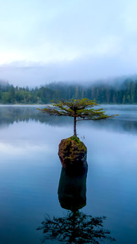 Lake