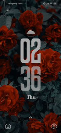 Red Roses