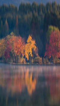Reflection by the lake